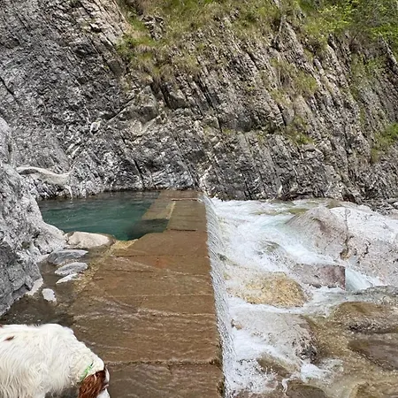 Libuse Отель типа 